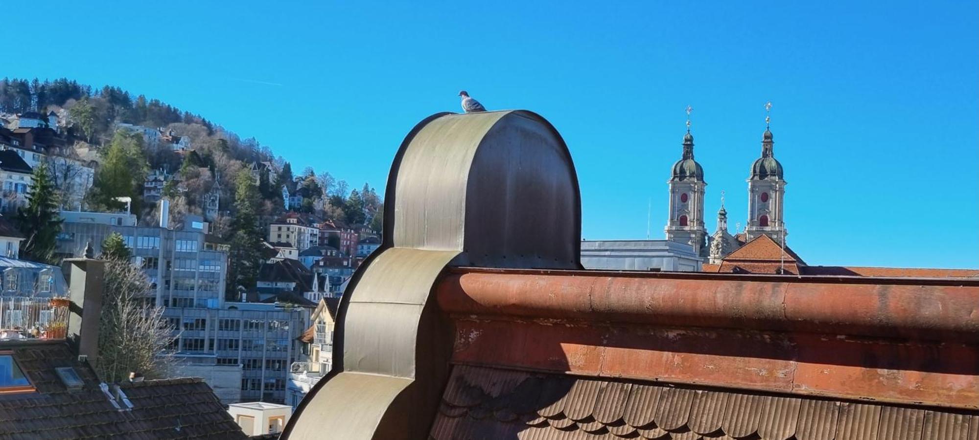 Ruhige, Neue Dachwohnung An Altstadt, Naehe Messe St. Gallen Eksteriør bilde